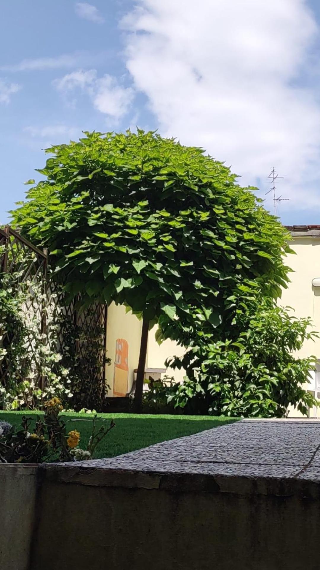 Movie Star Apartment With Garden Florencia Exterior foto